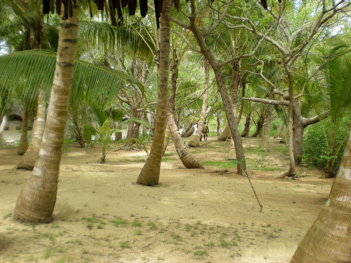 Resort Chapwani Private Island 3*